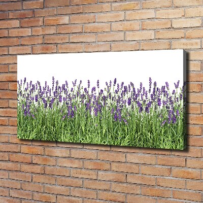 Canvas wall art Lavender flowers