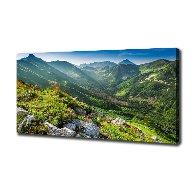 Canvas wall art Dawn in the Tatra Mountains