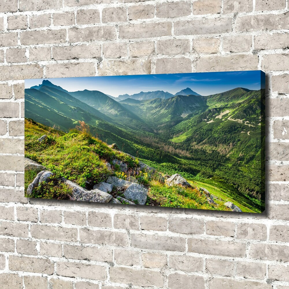 Canvas wall art Dawn in the Tatra Mountains