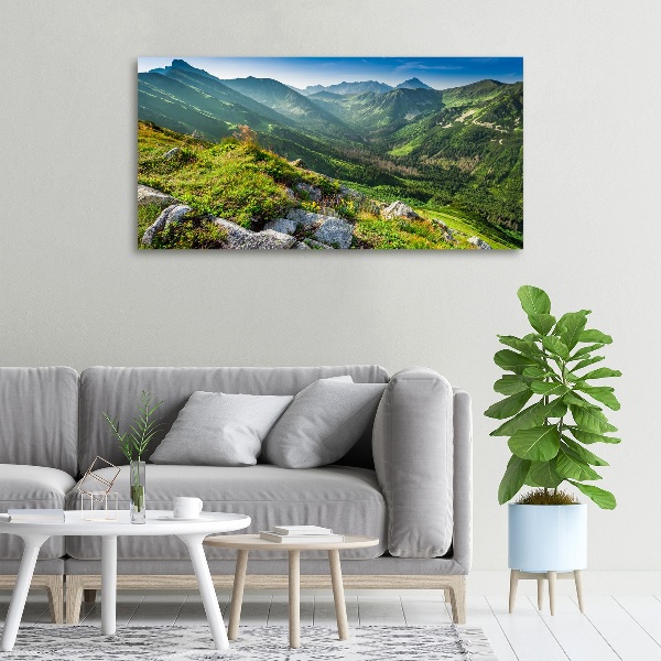 Canvas wall art Dawn in the Tatra Mountains