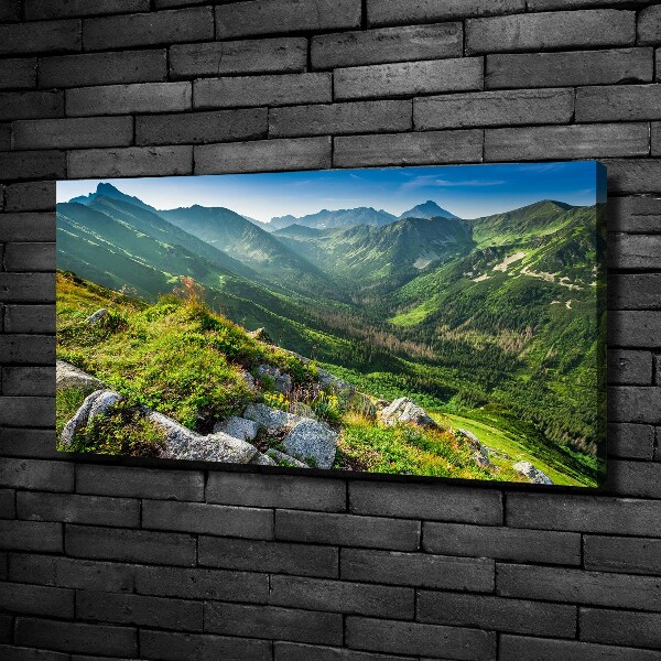 Canvas wall art Dawn in the Tatra Mountains