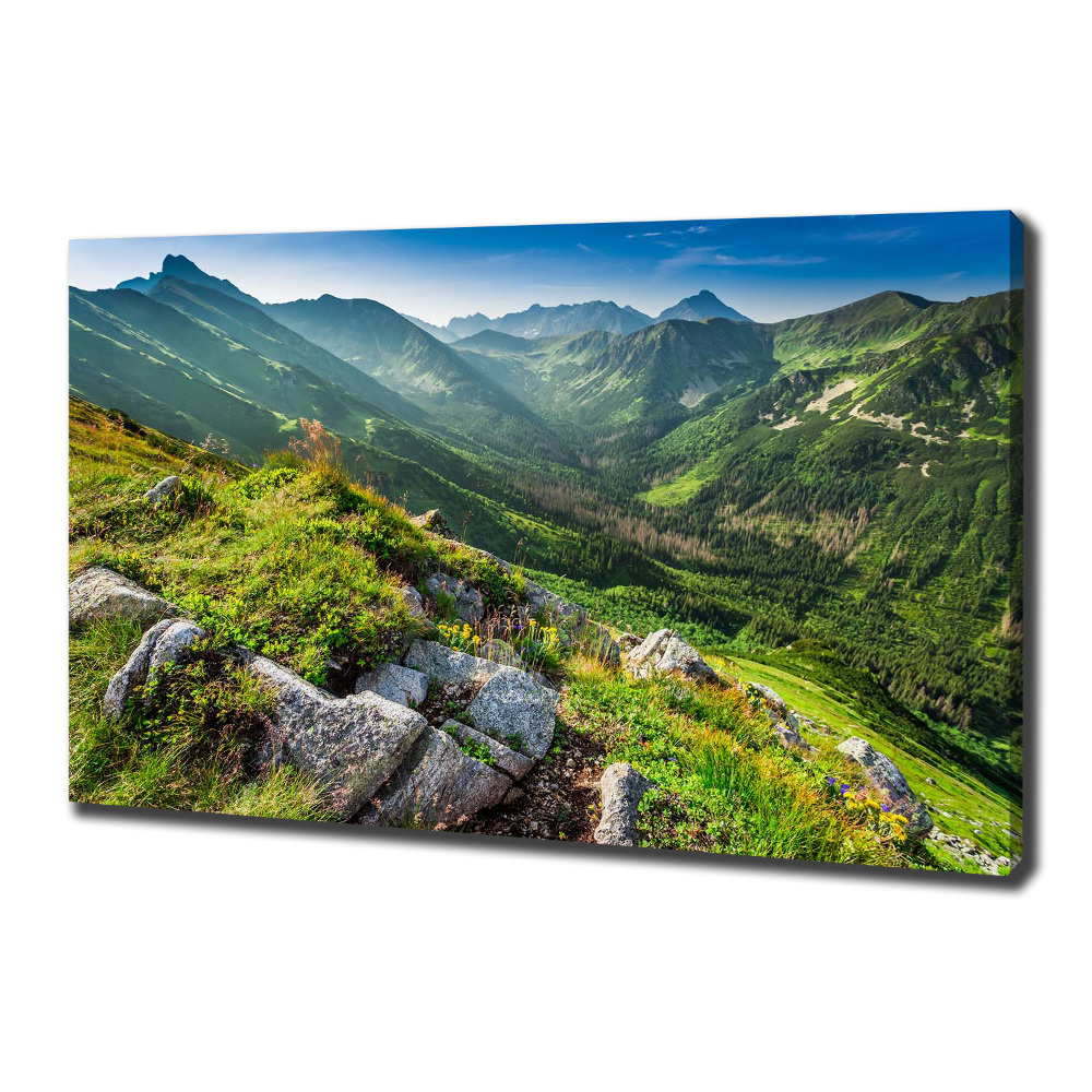 Canvas wall art Dawn in the Tatra Mountains