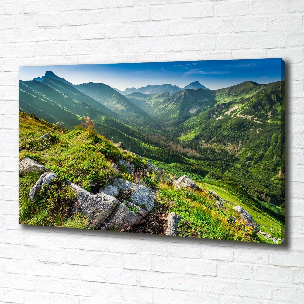 Canvas wall art Dawn in the Tatra Mountains