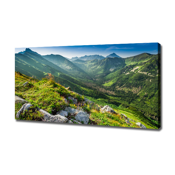 Canvas wall art Dawn in the Tatra Mountains