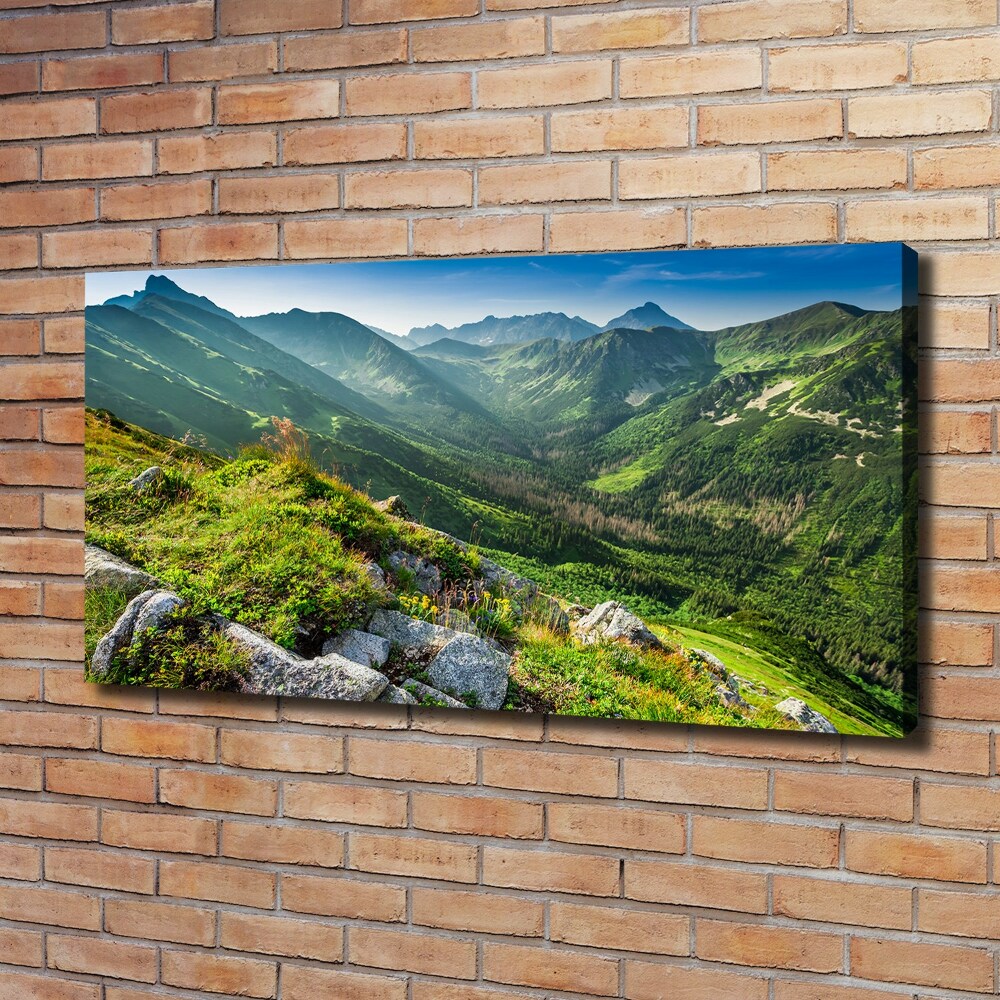 Canvas wall art Dawn in the Tatra Mountains