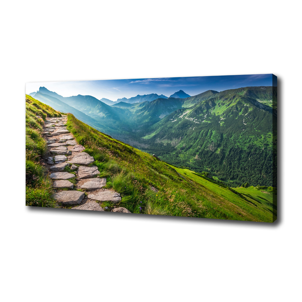 Canvas wall art Path in the Tatra Mountains