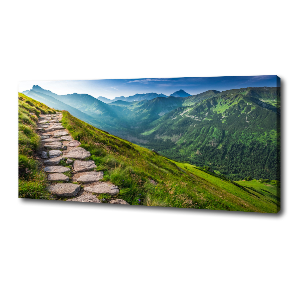 Canvas wall art Path in the Tatra Mountains