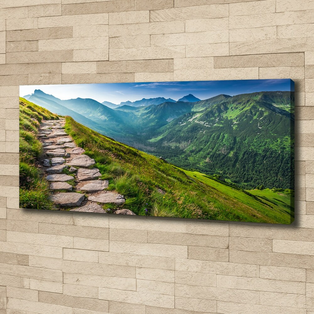 Canvas wall art Path in the Tatra Mountains