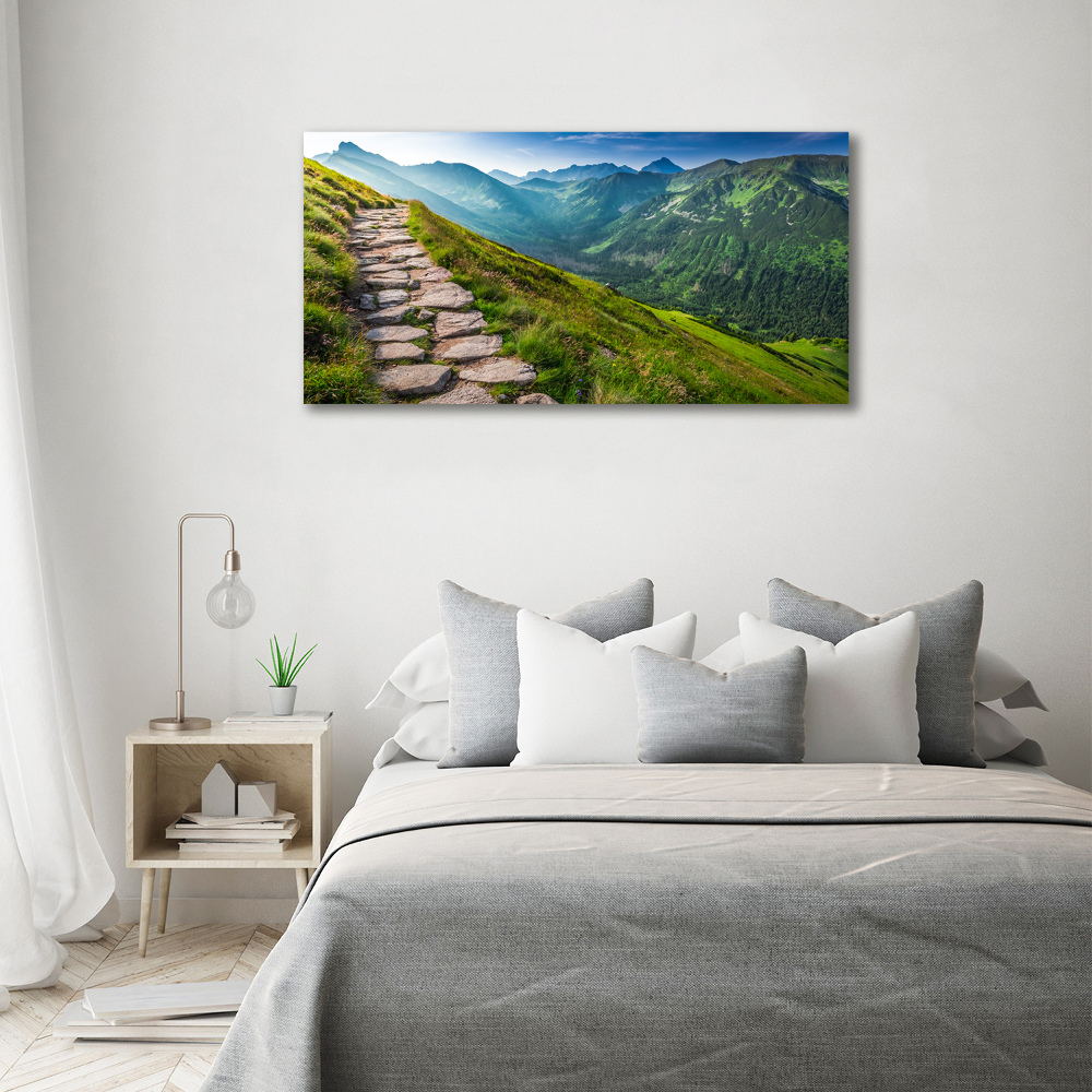 Canvas wall art Path in the Tatra Mountains