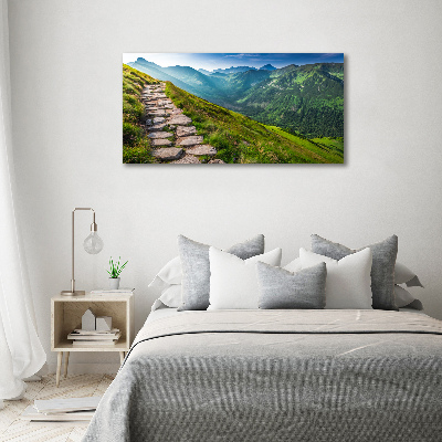 Canvas wall art Path in the Tatra Mountains