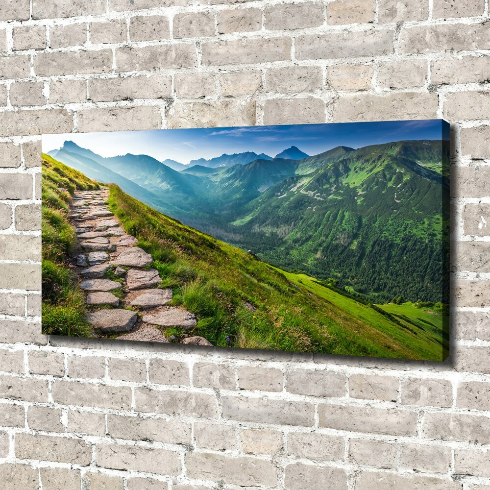 Canvas wall art Path in the Tatra Mountains