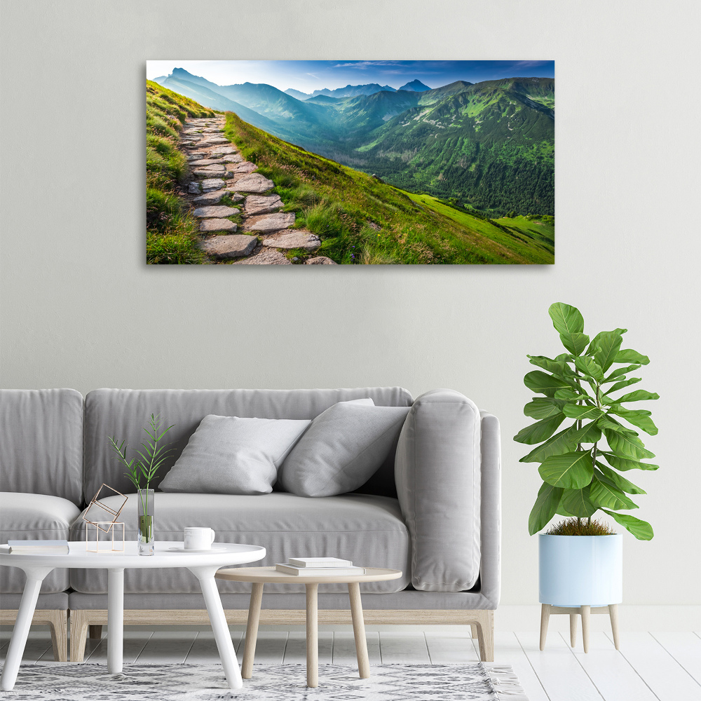 Canvas wall art Path in the Tatra Mountains