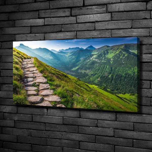 Canvas wall art Path in the Tatra Mountains