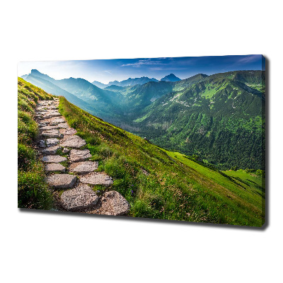 Canvas wall art Path in the Tatra Mountains