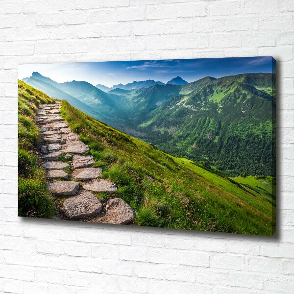 Canvas wall art Path in the Tatra Mountains