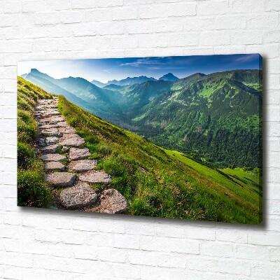 Canvas wall art Path in the Tatra Mountains