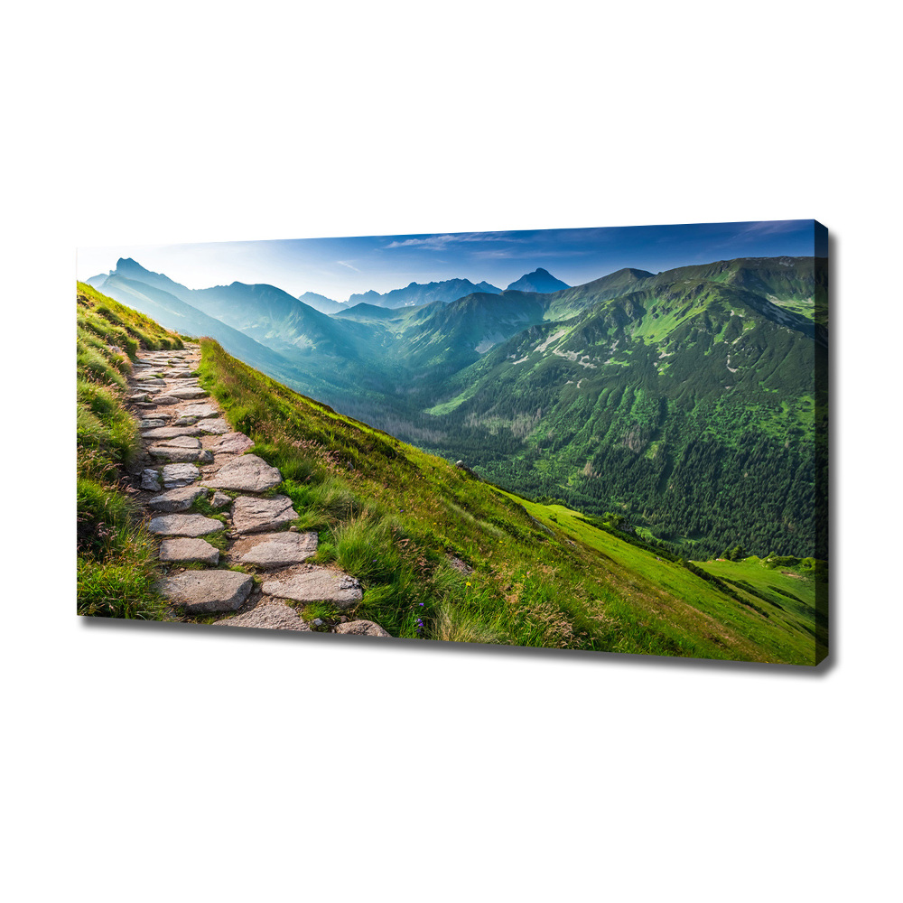 Canvas wall art Path in the Tatra Mountains