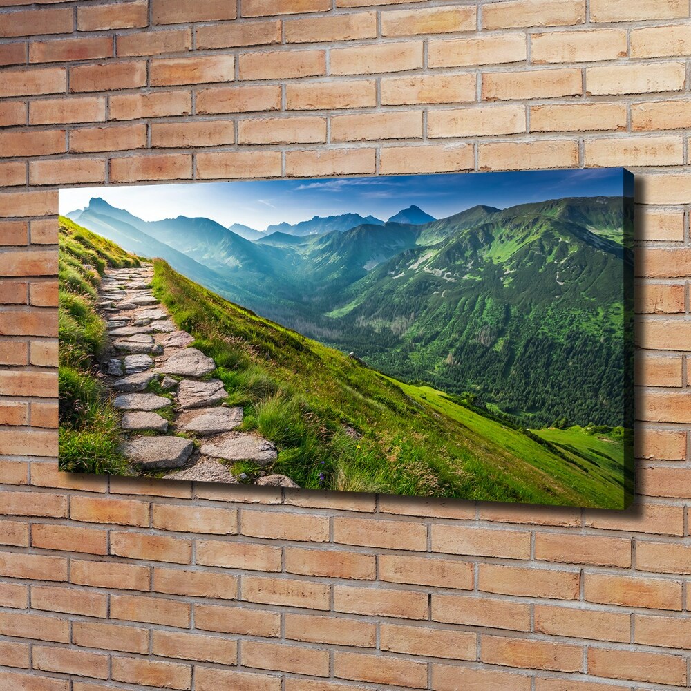 Canvas wall art Path in the Tatra Mountains