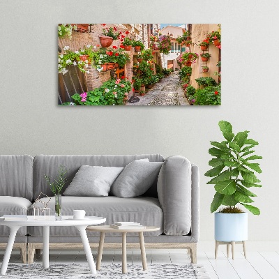 Canvas wall art Italian streets