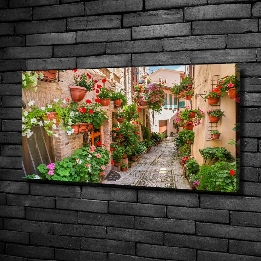 Canvas wall art Italian streets