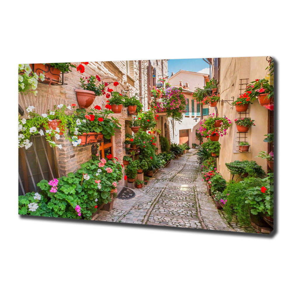 Canvas wall art Italian streets