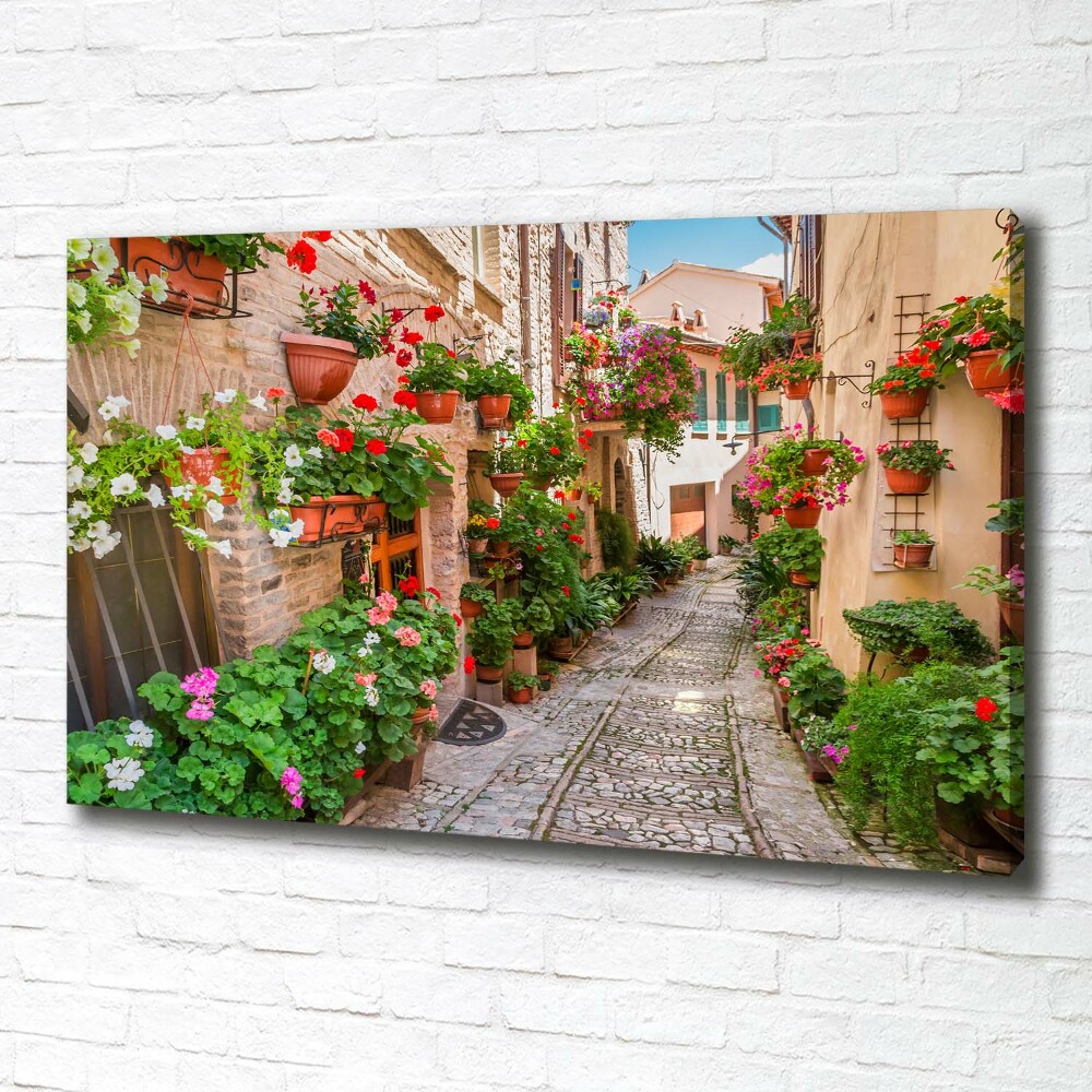 Canvas wall art Italian streets