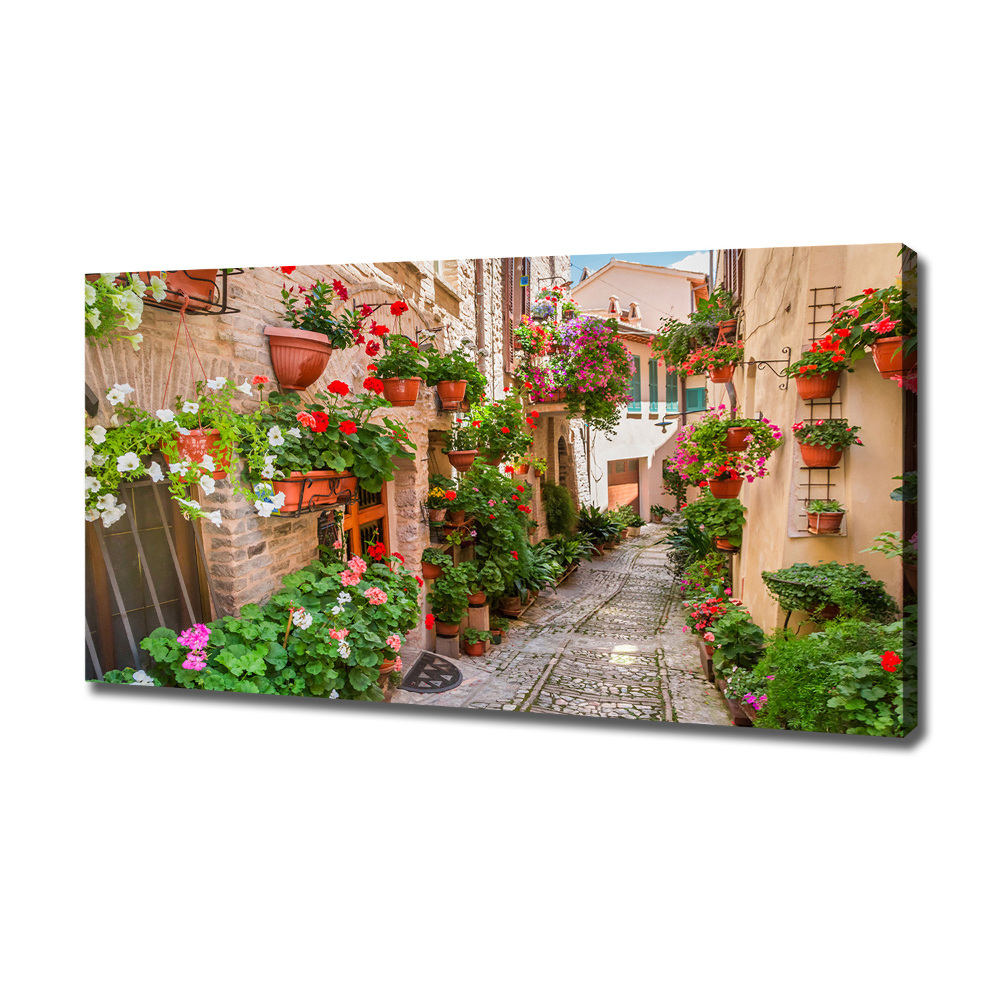 Canvas wall art Italian streets