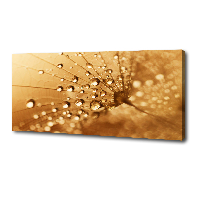 Canvas wall art Dandelion