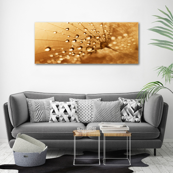 Canvas wall art Dandelion