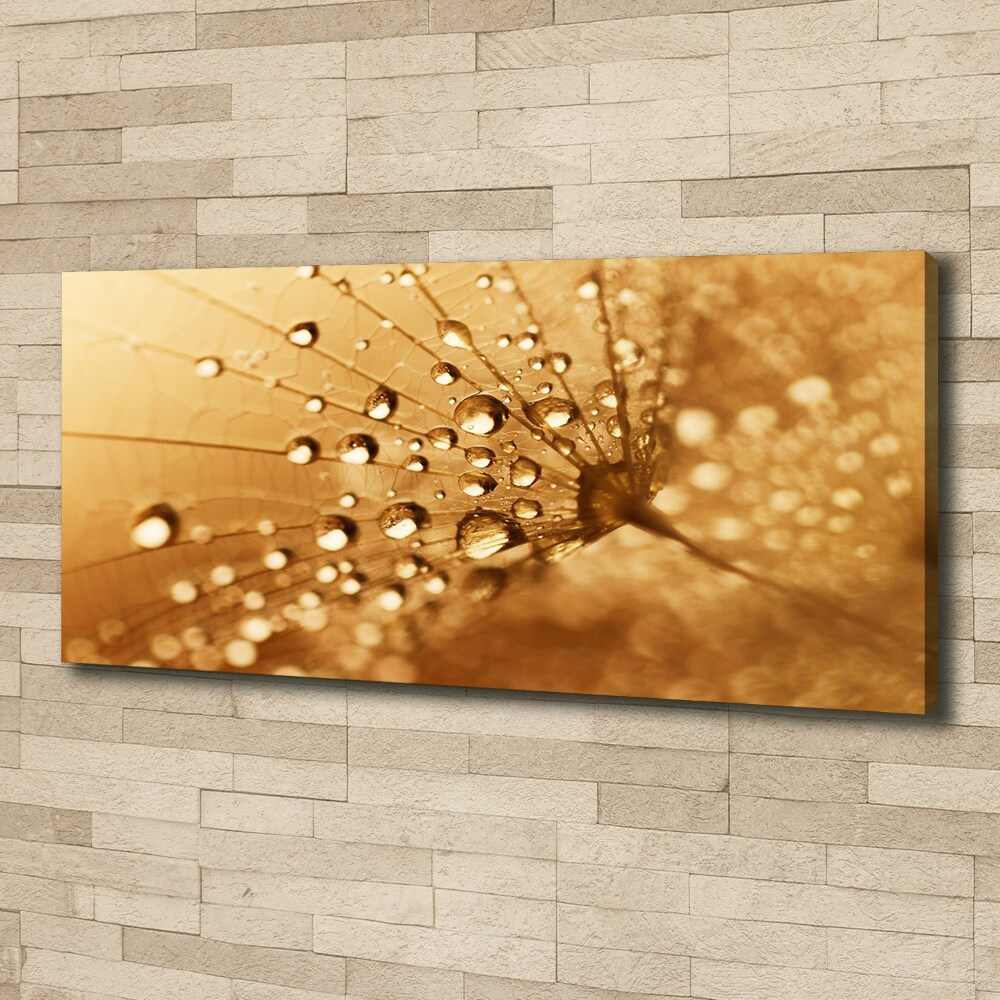 Canvas wall art Dandelion