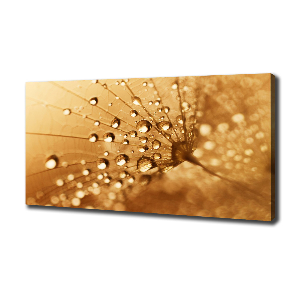 Canvas wall art Dandelion