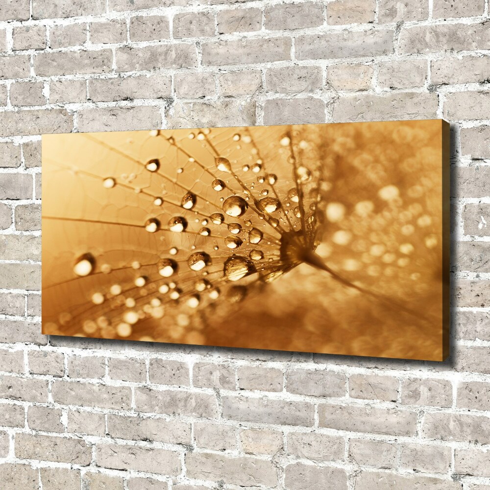 Canvas wall art Dandelion