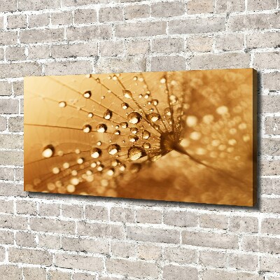 Canvas wall art Dandelion