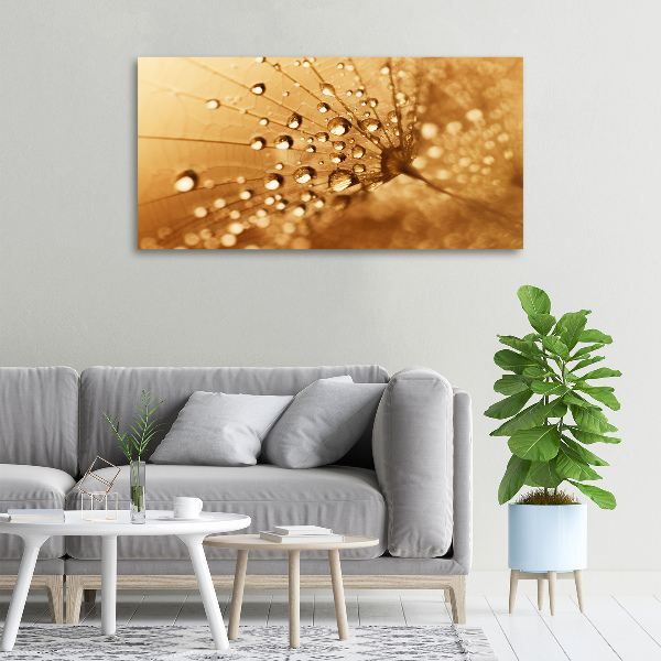 Canvas wall art Dandelion