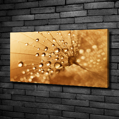 Canvas wall art Dandelion