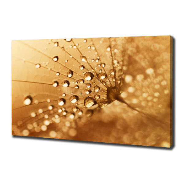 Canvas wall art Dandelion