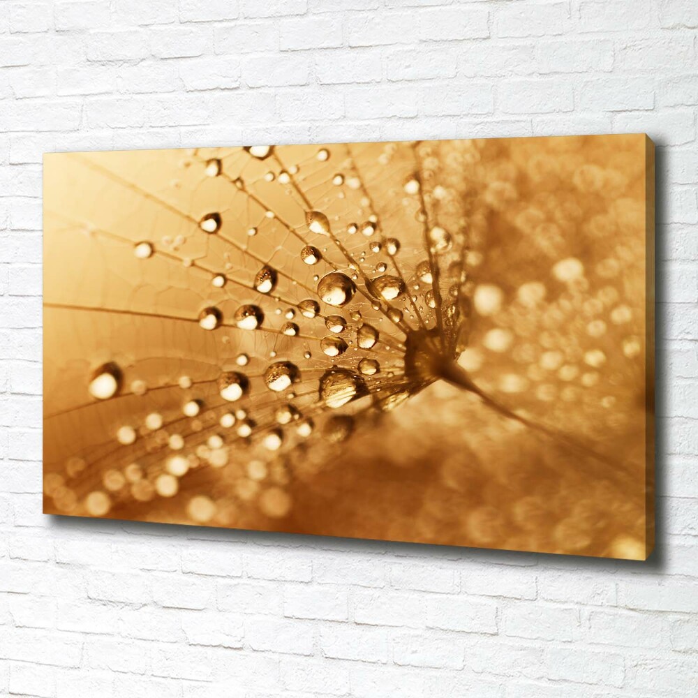 Canvas wall art Dandelion