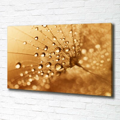 Canvas wall art Dandelion