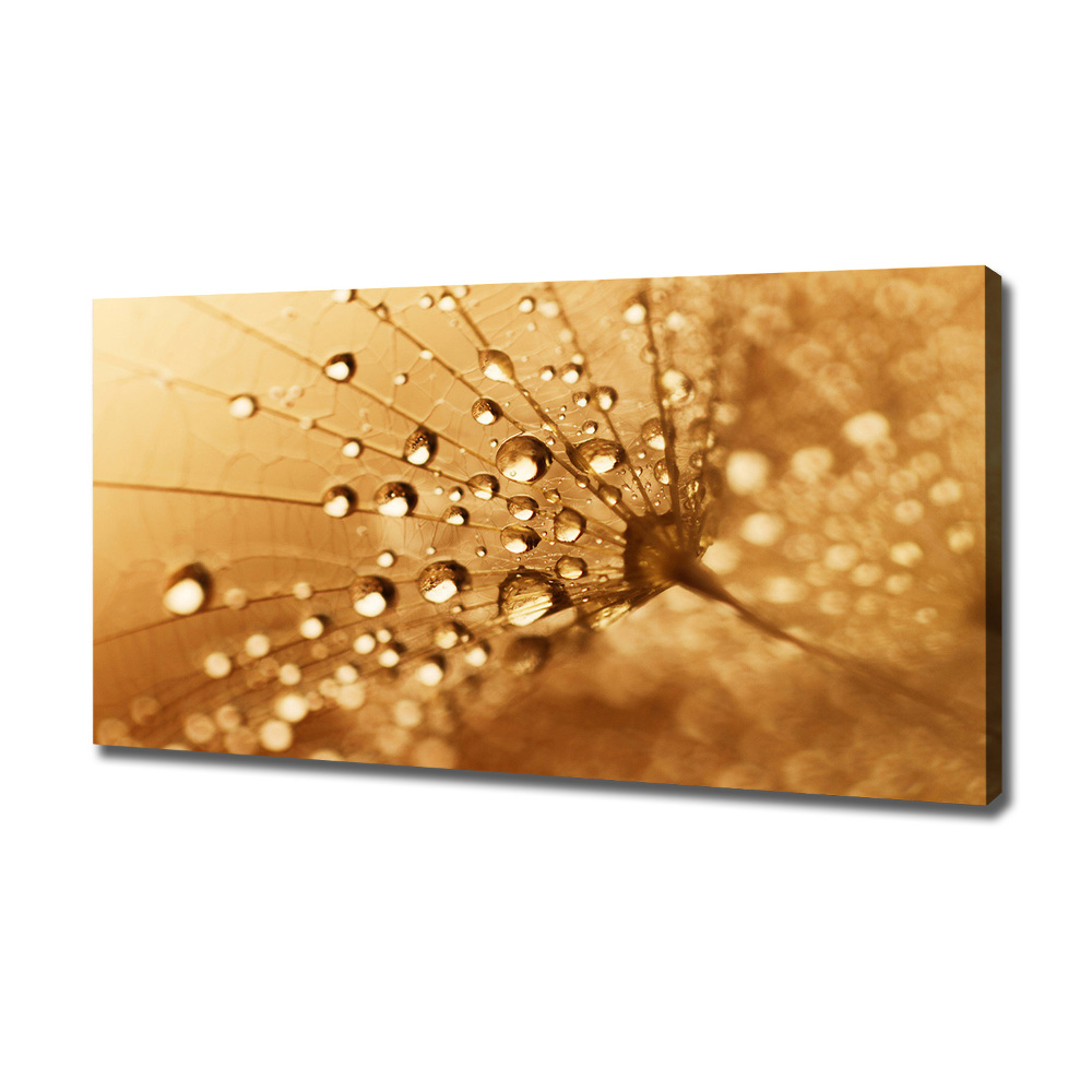 Canvas wall art Dandelion