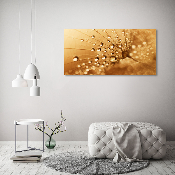 Canvas wall art Dandelion