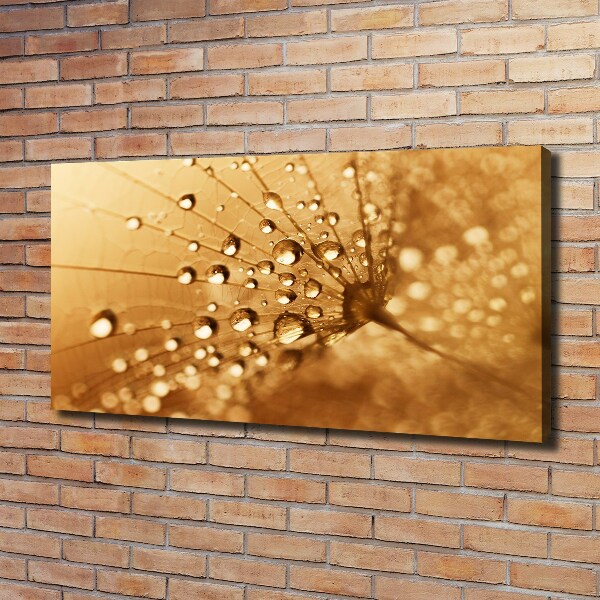 Canvas wall art Dandelion