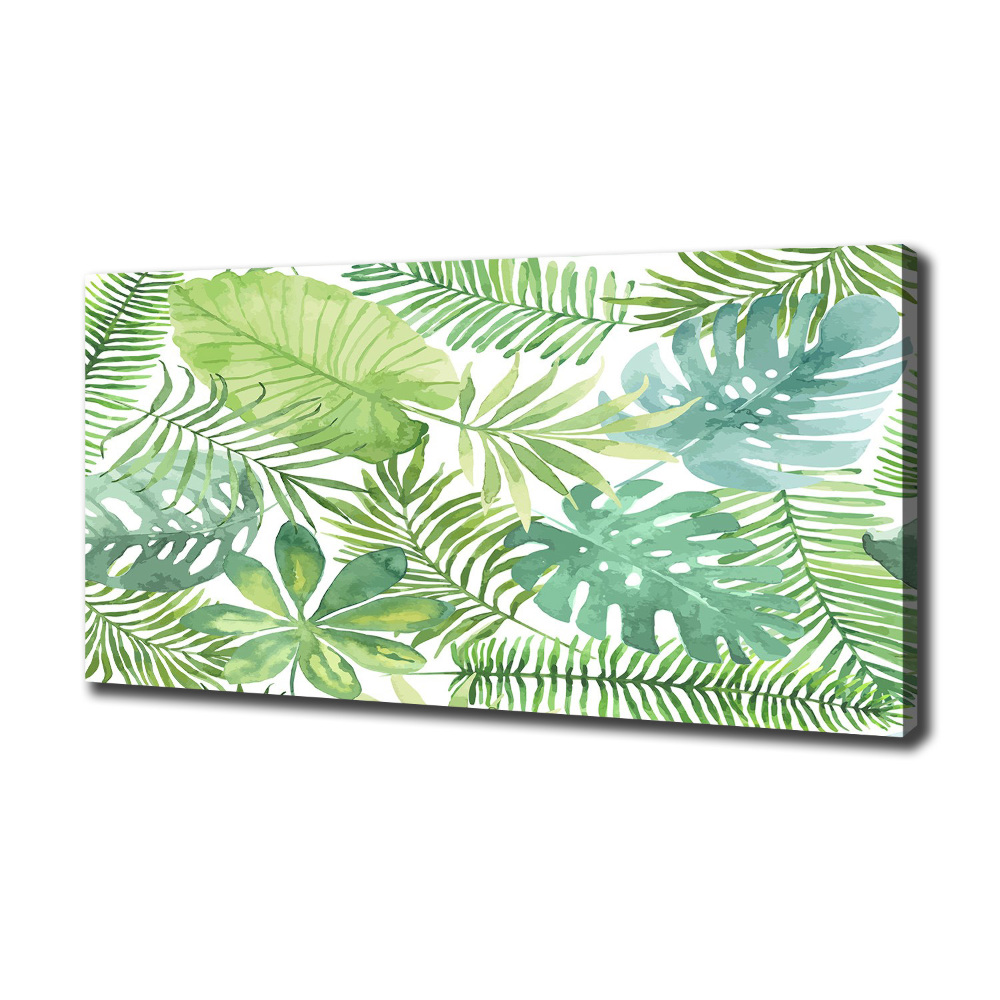 Canvas wall art Tropical leaves