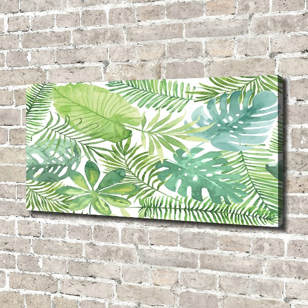 Canvas wall art Tropical leaves