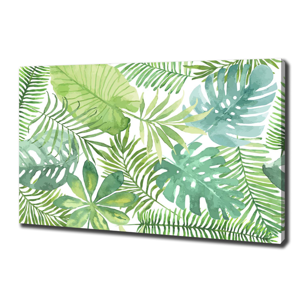 Canvas wall art Tropical leaves