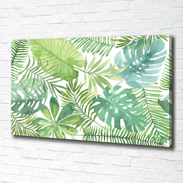 Canvas wall art Tropical leaves