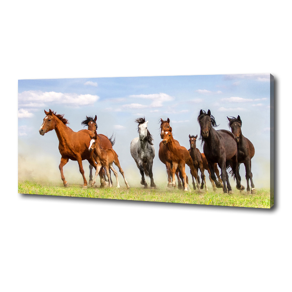 Large canvas wall art Horses at gallop