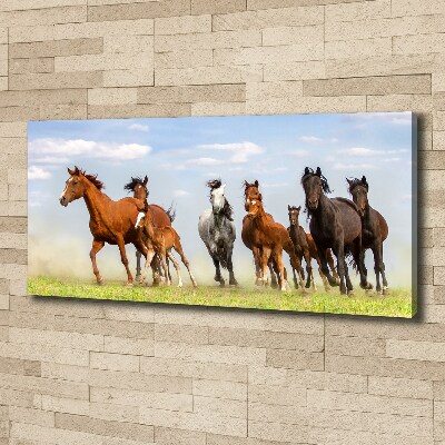 Large canvas wall art Horses at gallop