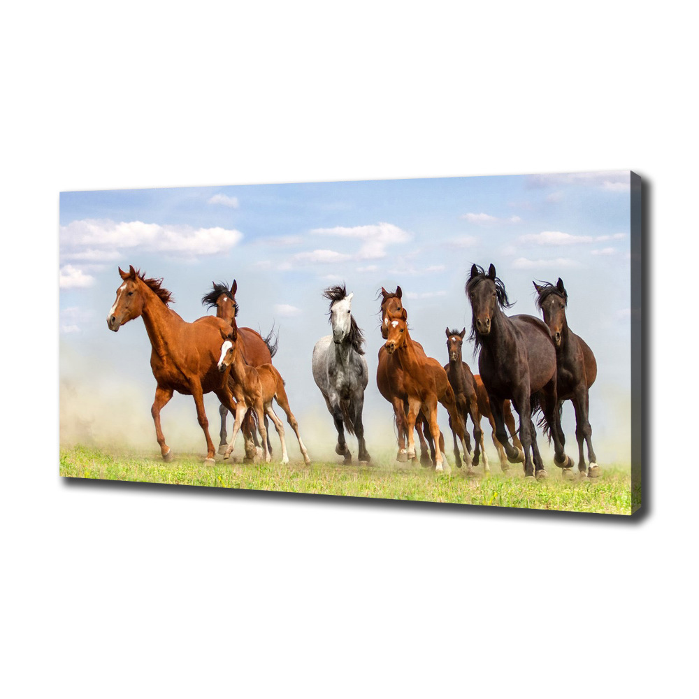 Large canvas wall art Horses at gallop