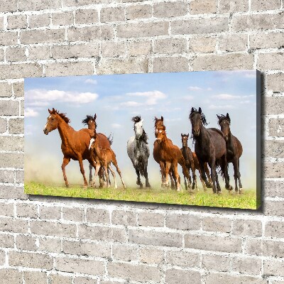 Large canvas wall art Horses at gallop