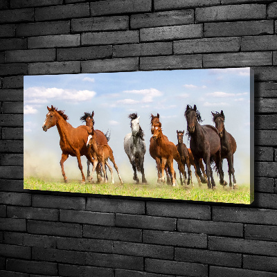 Large canvas wall art Horses at gallop